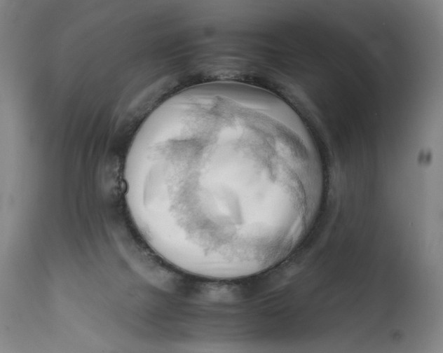 X0000111600073200908061424