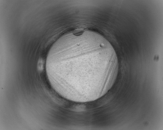 X0000111600075200908061424