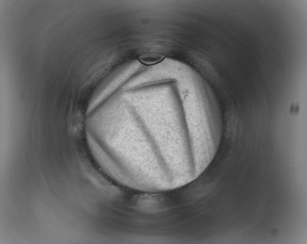X0000111600077200908061424