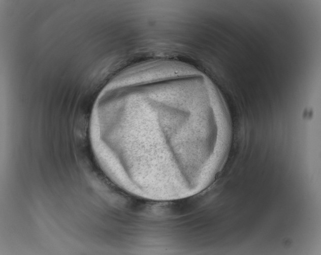 X0000111600078200908061424