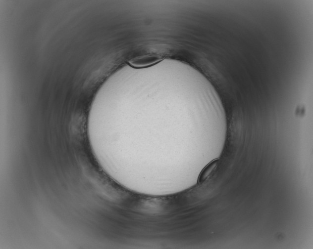 X0000111600079200908061424