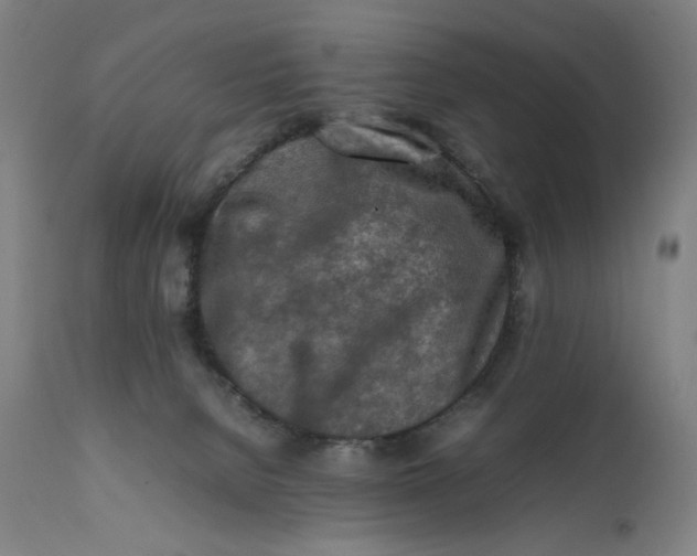 X0000111600080200908061424