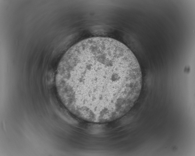 X0000111600081200908061424