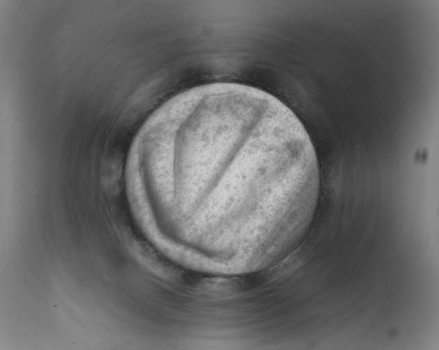 X0000111600082200908061424