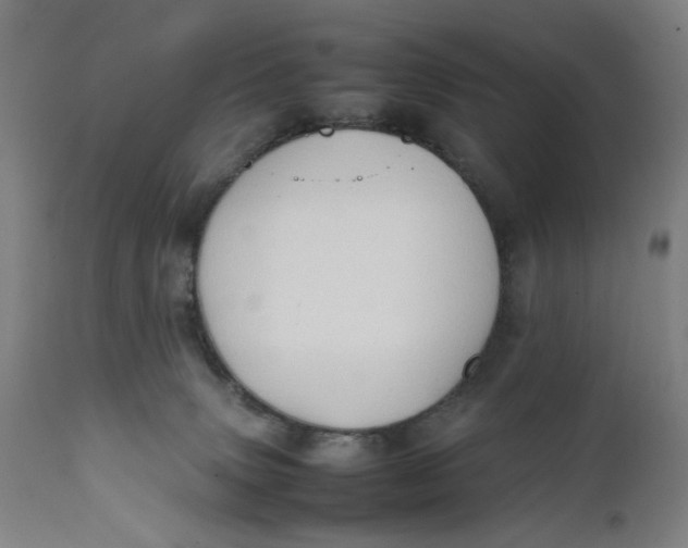 X0000111600083200908061424