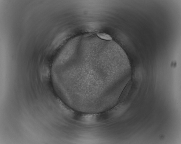 X0000111600084200908061424