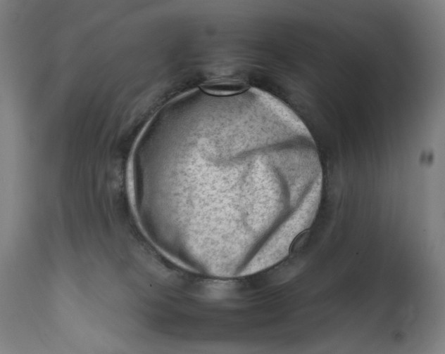 X0000111600085200908061424
