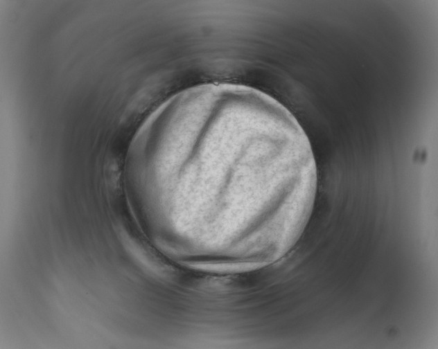 X0000111600086200908061424