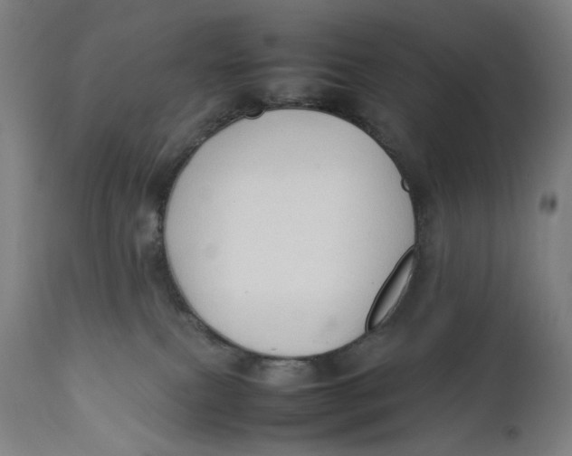 X0000111600087200908061424