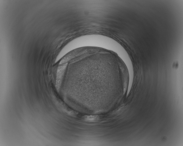 X0000111600088200908061424
