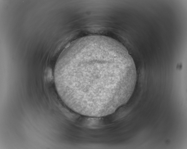 X0000111600089200908061424