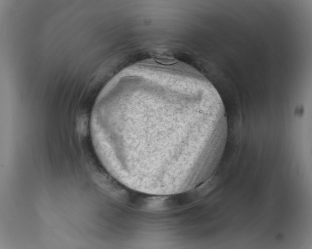 X0000111600090200908061424