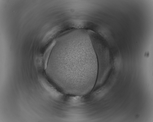 X0000111600092200908061424