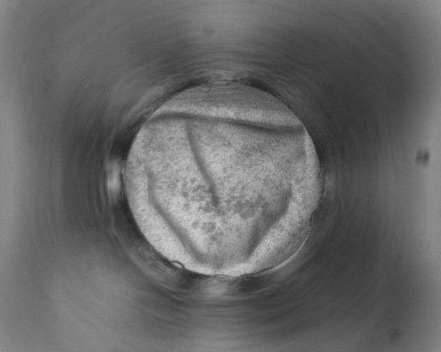 X0000111600094200908061424