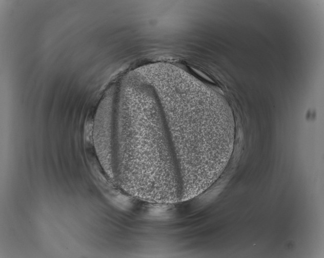X0000111600096200908061424