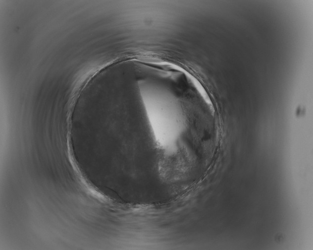 X0000111600097200908061423