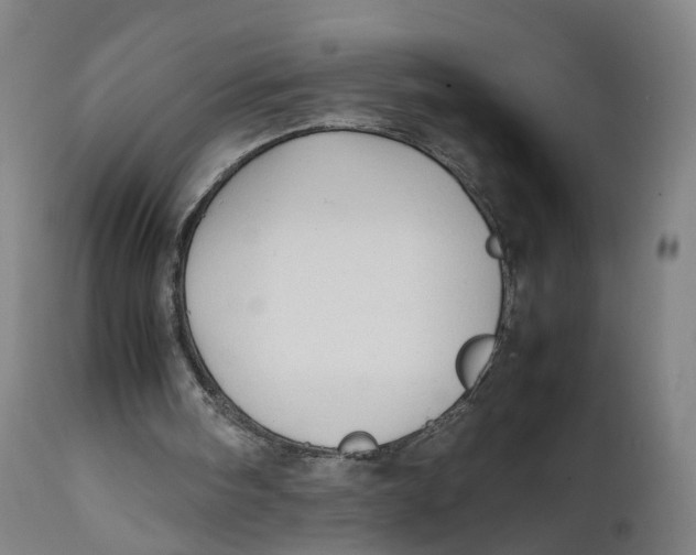 X0000111600098200908061423