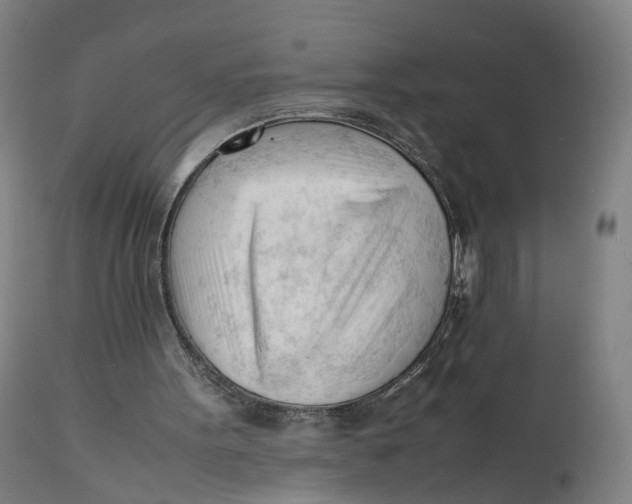 X0000111600099200908061423