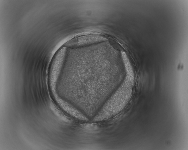 X0000111600100200908061423