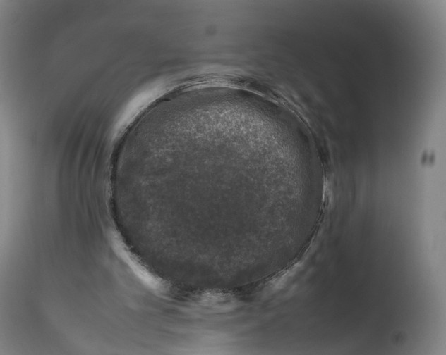 X0000111600101200908061423