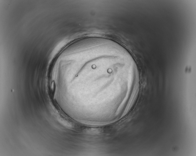 X0000111600102200908061423