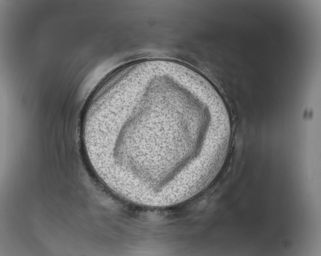 X0000111600103200908061423