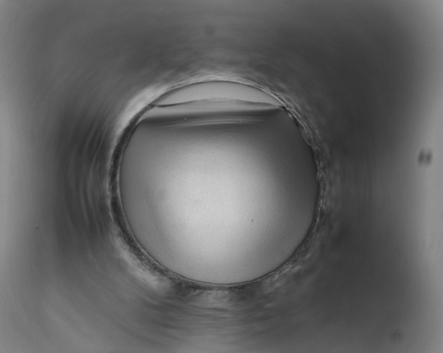 X0000111600104200908061423