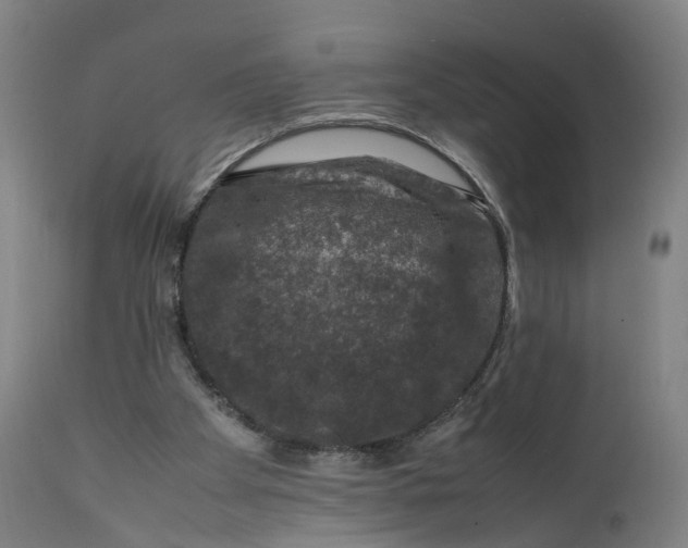 X0000111600105200908061423