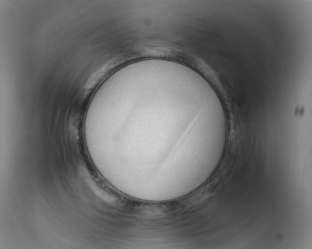 X0000111600106200908061423