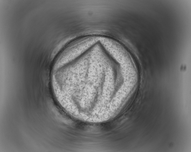 X0000111600107200908061423