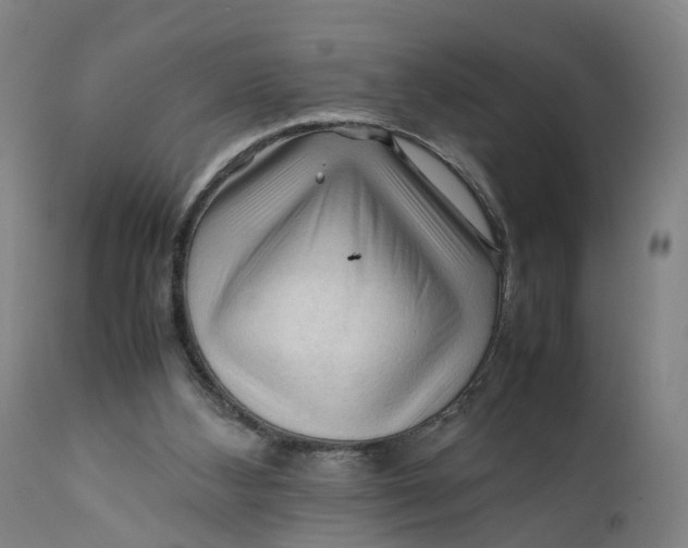 X0000111600108200908061423