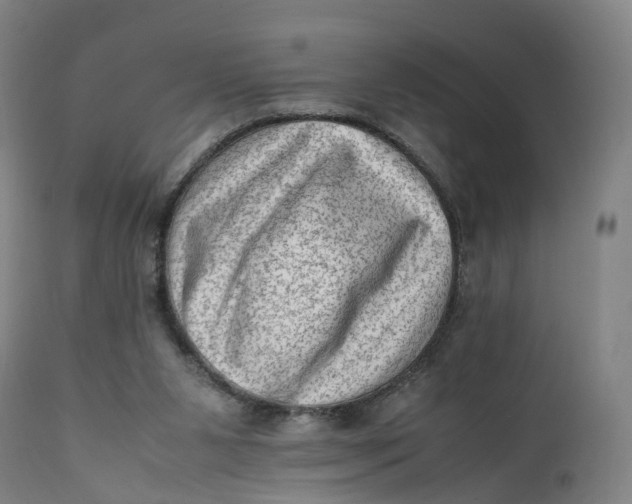 X0000111600111200908061423