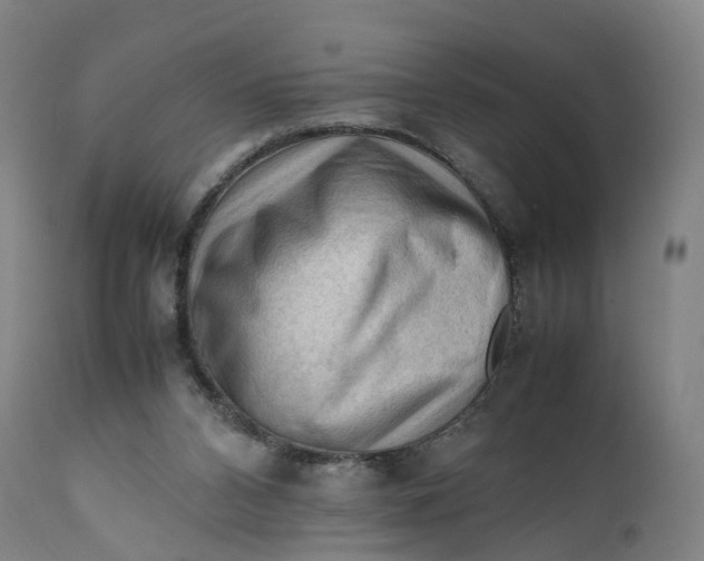X0000111600112200908061423