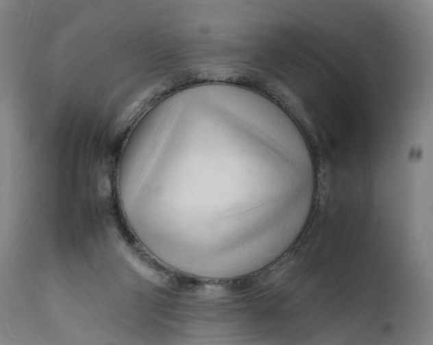 X0000111600114200908061423