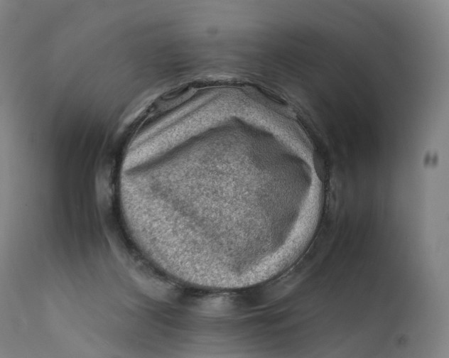 X0000111600116200908061423