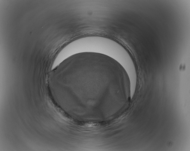 X0000111600117200908061423