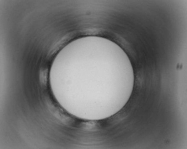 X0000111600118200908061423
