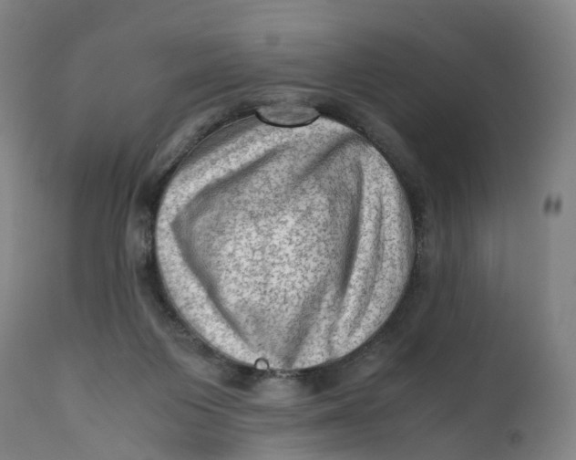 X0000111600119200908061423