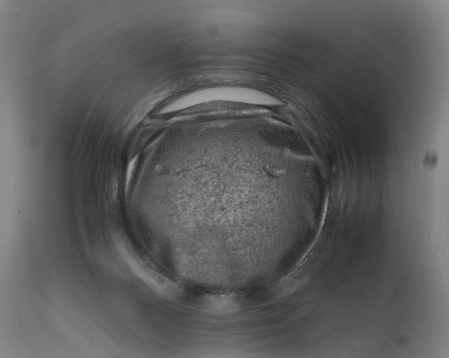X0000111600120200908061423