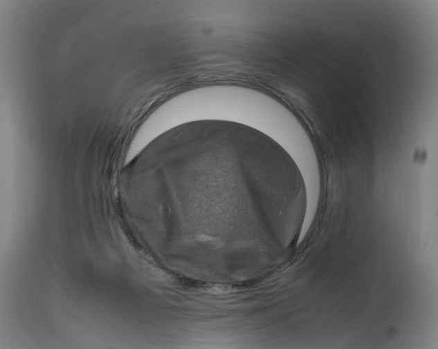 X0000111600121200908061423