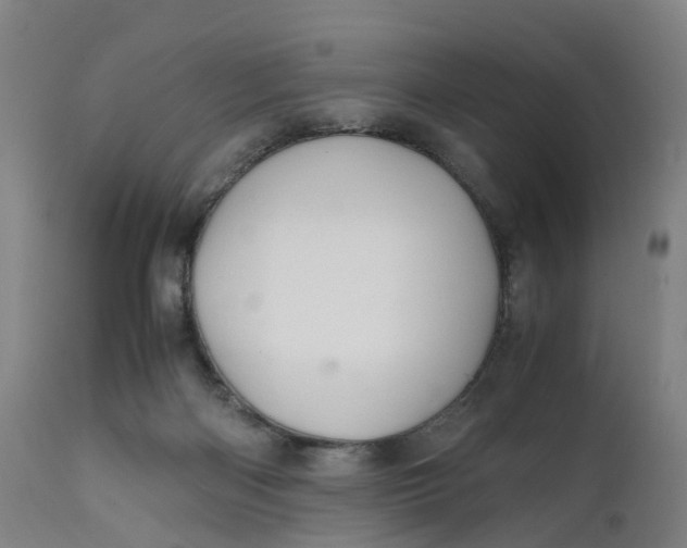 X0000111600122200908061423
