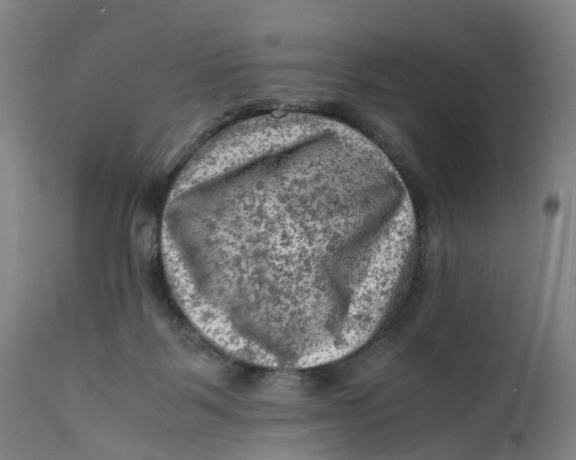 X0000111600123200908061423