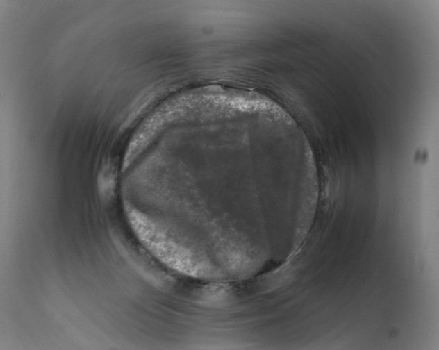 X0000111600124200908061423