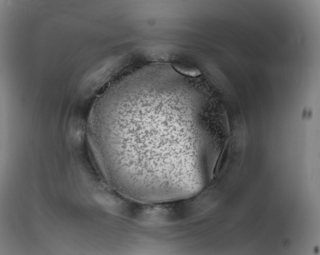 X0000111600125200908061423