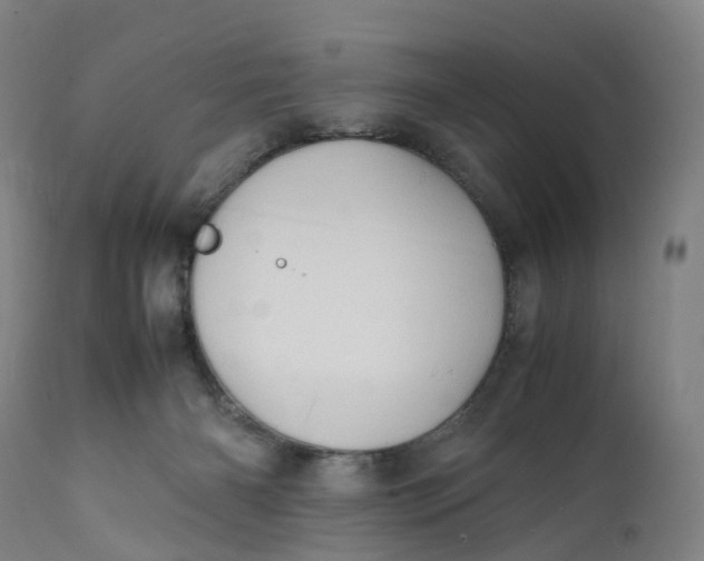 X0000111600126200908061423