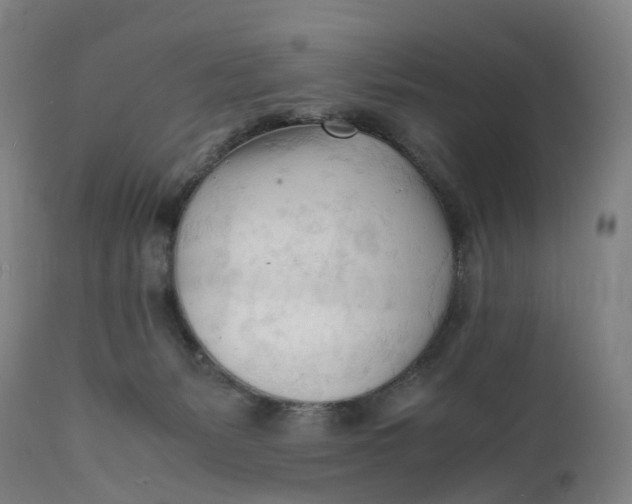 X0000111600127200908061423