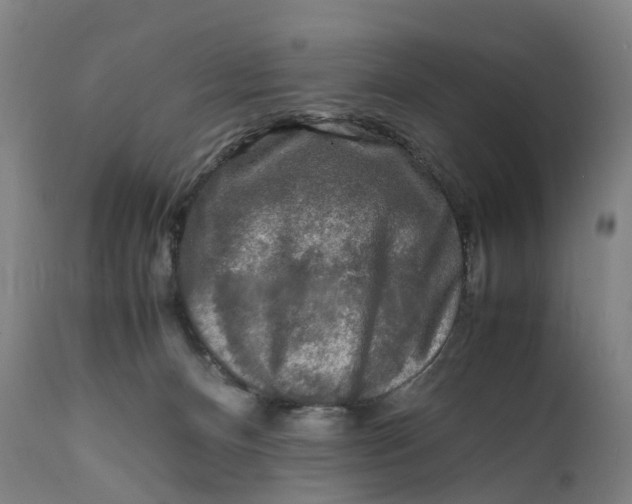 X0000111600128200908061423