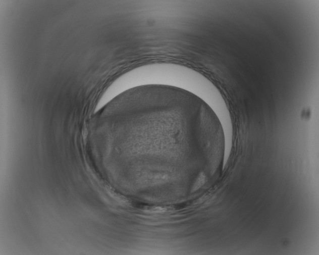 X0000111600129200908061423
