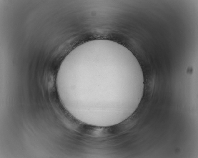 X0000111600130200908061423