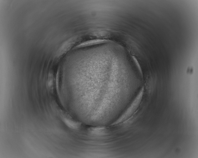 X0000111600132200908061423